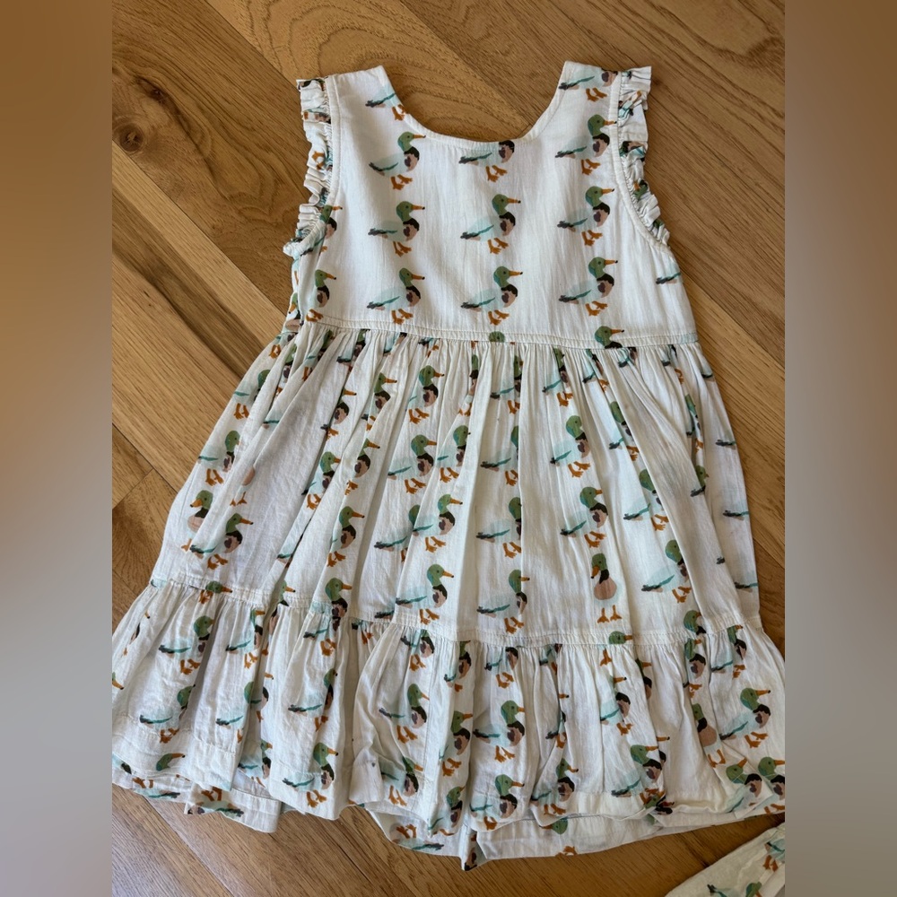 Pink Chicken White Cotton Dress with Green & Brown Duck Print